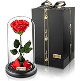 YourRoses® echte Premium Rose im Glas Geschenkbox | Lange Haltbarkeit & edles Geschenk als Liebesbeweis