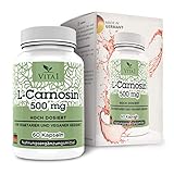 VITA1 L-Carnosin 500mg • 60 Kapseln (Monatspackung) • Glutenfrei, vegan, koscher & halal • Hergestellt in Deutschland