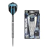 Target Darts Phil Taylor Power 8Zero Steel Tip Dartpfeile (23gr), natur 23g