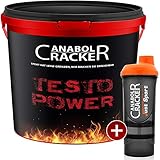 Testo Power, Whey Proteine Creatin Shake, 2600g Dose, Himbeer-Frucht oder Cappuccino Geschmack Eiweißpulver + Shaker (Himbeer-Frucht)