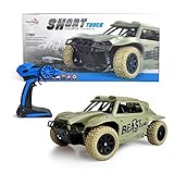 Maximum RC Ferngesteuertes Auto für Kinder ab 8 - 4WD Short Course Truck - Wüstenbuggy mit proportionaler Beschleunigung und Allradantrieb