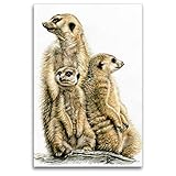CALVENDO Premium Textil-Leinwand 80 x 120 cm Hoch-Format Erdmännchen bei der Wache, Leinwanddruck von Nicole Zeug