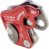 Camp Goblin rot