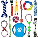 Parner Hundespielzeug, 12 Pcs Seil Ball Hunde Kauen Spielzeug Set Für Kleine große mittelgroßen Hund Interaktives Spielset Unzerstoerbar Baumwollknoten Tau Tier