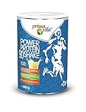 Primavita - Power Protein 90 Shake mit 5 einander ergänzenden Proteinquellen, Vanille, 350 g (11-12 Portionen)