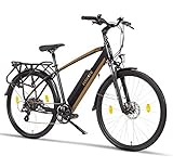 Fitifito CT28M, 28 Zoll Elektrofahrrad Citybike E-Bike Pedelec, 48V 250W SY Heckmotor, 8 Gang Shimano Schaltung, Schwarz Gold