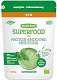 Bio Hanfprotein Pulver - Planzliches Superfood Getränk Mit Spirulina, Weizengras, Alfalfa-Gras - Omega 3 6, Eisen, Magnesium - 280 g (1)