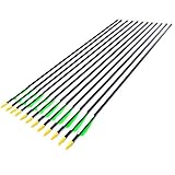 Anladia 12er Fiberglaspfeil für Bogenschießen, 28 Zoll (74 cm) Bogenpfeile Pfeile 28 Zoll Fiberglaspfeil für Sportbogen, Recurvebogen, Langbogen