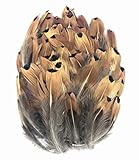 ERGEOB 100 stück Natürliche Fasan Haar Feder geflügel Fasan Federn großer Punkt Federn 5-8cm