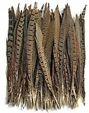 ERGEOB Federn, Fasan Federn, 30-35cm/ 12-14 Zoll Länge Fasan Schwanzfedern 10,30,50 stück