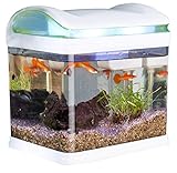 Sweetypet Aquarium: Transport-Fischbecken mit Filter, LED-Beleuchtung und USB, 3,3 Liter (USB Aquarium)