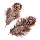 Echte Fasanenfedern/Federn'NATUR' (1,5 g / 3-9 cm)