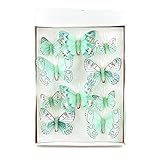 TGG 10 Stück Schmetterlinge Mix mit Clip 2 Größen Sortiment Mint Feder !!!