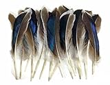 ERGEOB Natürliche Haarstockente Federn geflügel grün Stockente Ente Federhaar 8-13 cm (3-5 Zoll) Länge