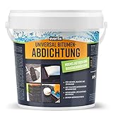 EVERFIX Bitumen Abdichtung - hochelastische Dichtmasse, rissüberbrückend - zum Abdichten und Reparatur von Dach Keller etc. (1 kg)
