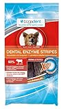 Bogadent Dental Enzyme Stripes Mini Hund 100 g