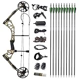 SHARROW Compoundbogenset Jagdbogen 15-70lbs Einstellbar Sportbogen Bogenschießen Jagd Compound Bögen und Pfeile Set für Outdoor Bogen Jagd (Typ 3)