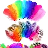 300 Stück, federn bunt,indianer federn,gemischte federn,federn zum basteln,federn deko,diy federn,natürliche federn,naturfedern,federn für traumfänger,federn für hochzeit party dekoration