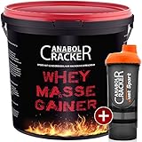 Whey Masse Gainer, Eiweisspulver, 3000g Eimer, Erdbeer Geschmack + Proteinshaker, Sonderangebot Anabol Cracker