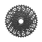 SRAM PG-1130 11-42T 11-fach Kassette Und Ritzel, schwarz