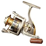 Diwa Spinning Fishing Reels for Saltwater Freshwater 1000 2000 3000 4000 5000 6000 Series Left/Right Interchangeable Trout Spinning Reel Carp Fishing Spool 10 Ball Bearings Light and Smooth (1000)
