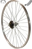 Redondo 28 Zoll Hinterrad Laufrad 28' Kasten Felge + 6-Fach Shimano Kranz Silber