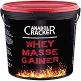 Whey Masse Gainer, Eiweisspulver Proteinshake, 3000g Eimer, Erdbeere, Toffi oder Vanille Geschmack, Sonderangebot (Vanille)