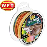 WFT TF8 Surf Deep Sea Multicolor 300m - Meeresschnur zum Pilkangeln, geflochtene Angelschnur zum Meeresangeln, Schnur für Norwegen, Durchmesser/Tragkraft:0.30mm / 28kg Tragkraft