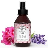 BELLY Veganes Flohmittel Hundespray gegen Flöhe - Bio Spray Flohmittel für Hunde ohne Chemie, Natürliches Hundeflohmittel gegen Flöhe bei Hunden, Auch gegen Zecken, Flohspray für Hunde - 250ml