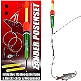Angel-Berger Zander Posen Set Köderfischmontage mit Knicklicht Ready2Fish Angelset Zander