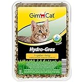 GimCat Hydro-Gras - Frisches Katzengras aus kontrolliertem Feldanbau in nur 5 bis 8 Tagen - 1 Schale (1 x 150 g)