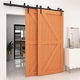 CCJH 10FT-304cm Schiebetuer Laufschiene Rollen Set Schiebetürbeschlag Bypass 2 türen Sliding Barn Door Hardware Kit