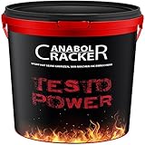 Testo Power, Whey Protein Creatin Shake, 2600g Dose, Himbeer - Frucht oder Cappuccino Geschmack, Eiweißpulver Muskelaufbau (Frucht - Himbeere)