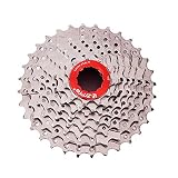 BIKERISK 11-32T MTB 8-Fach Kassette Fit Bike Rennrad Kompatibel für SRAM Shimano Sunrace 8-Fach Freilaufkörper