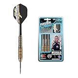 Target Darts Phil Taylor Power Bolt Messing Steel Tip Dartpfeile (22gr), 22g