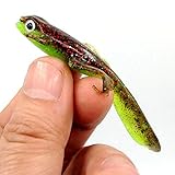 MiTho-Store Angeln, Angelköder, Gummifisch, Molch, Kunstköder, 4 Molche mit Fischölgeruch zusammengepackt. Dropshot, Raubfisch Barsch, Zander, Forelle