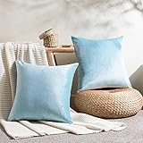 Topfinel Samt Kissenbezüge Einfarbige Kissenhülle mit Verstecktem Reißverschluss Dekorative Dekokissen für Wohnzimmer Sofa Sessel Büro Auto 2er Set 40x40cm Hellblau