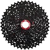 Sunrace CSMX9X Kassette MTB, Schwarz, desarrollo 10-42 dientes