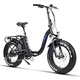 Fitifito klappbar Fatbike FT20 20 Zoll Elektrofahrrad Fatbike E Bike Pedelec 48V 250W Bafang casstte Heckmotor 9 Gang Shimano Schaltung