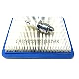 Service-Kit für Benzin-Rasenmäher mit Motor von Briggs & Stratton Quantum