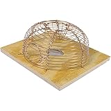 SWISSINNO SOLUTIONS 1708001 Mauskäfig rund 1 Eingang, Beige/Silber, 15x8x15 cm