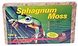 Lucky Reptile SM-100 Sphagnum Moss Ziegel 100 g, Terrarienmoos