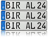 3 x Kennzeichen | 520x110mm | Nummernschilder | KFZ Auto PKW LKW | DHL-Versand