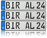 3 x Kennzeichen | 520x110mm | Nummernschilder | KFZ Auto PKW LKW | DHL-Versand