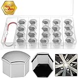WZYTEU Radschraubenkappen 19mm Universal Reifen Mutter Abdeckungen, mit 20 Stück Radmuttern Kappen, 2 Stück Entfernung Werkzeug und Kleber Box(Silber)
