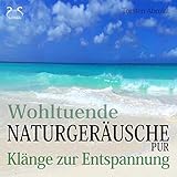 Rasenmäher Geräusch - Benzin Rasenmäher im Hintergrund - Sommergeräusch, Kindheitserinnerung, Entspannung