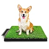 Hompet Hundeklo Hundetoilette Welpentoilette Trainingsunterlage, Indoor Hundetöpfchen, Hunde Training Rasenmatte für Kleine Hunde Grosse Hunde ältere 63 x 51 x 7cm