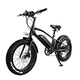 E-Bike Elektrofahrrad Fatbike für Damen und Herren 20 Zoll 750W Motor 48V 10Ah Daul AKKU Mountainbike