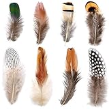 Firtink 400 Stück Federn 8 Stils Braun Federn für Kostüme, Hüte, basteln, Zuhause Dekor, DIY Dekoration