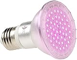 Lunartec LED-Pflanzenlampe 'Fast Grow' Ø 65 mm rot/blau